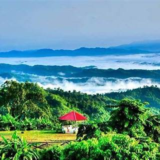 Sajek Valley Hill Package
